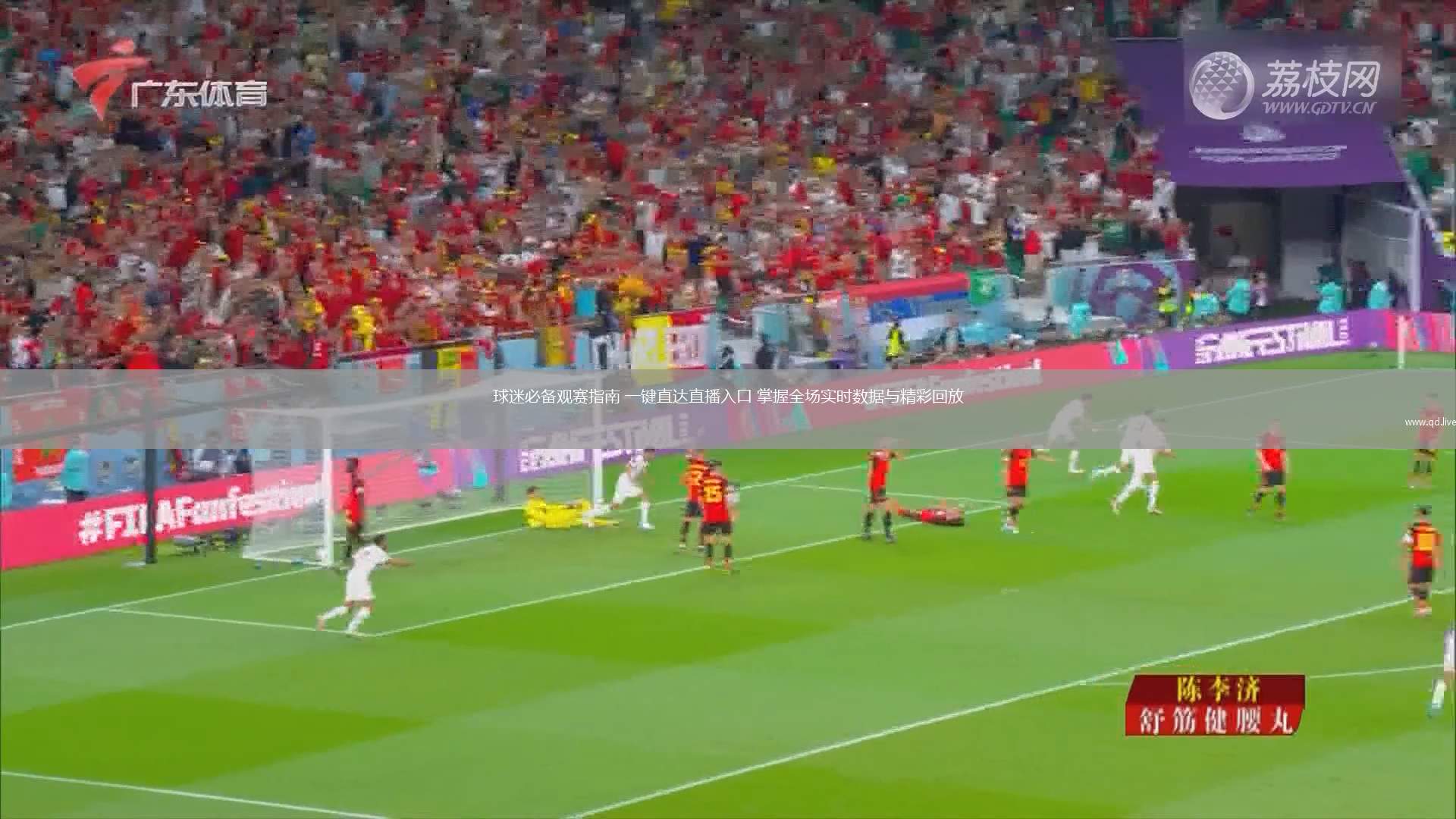 球迷必备观赛指南 一键直达直播入口 掌握全场实时数据与精彩回放