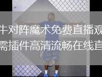 公牛对阵魔术免费直播观看无需插件高清流畅在线直通