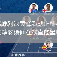 雄鹿对决黄蜂激战正酣全场精彩瞬间在线直播呈现