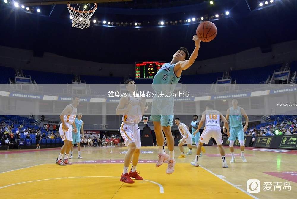 雄鹿vs黄蜂精彩对决即将上演