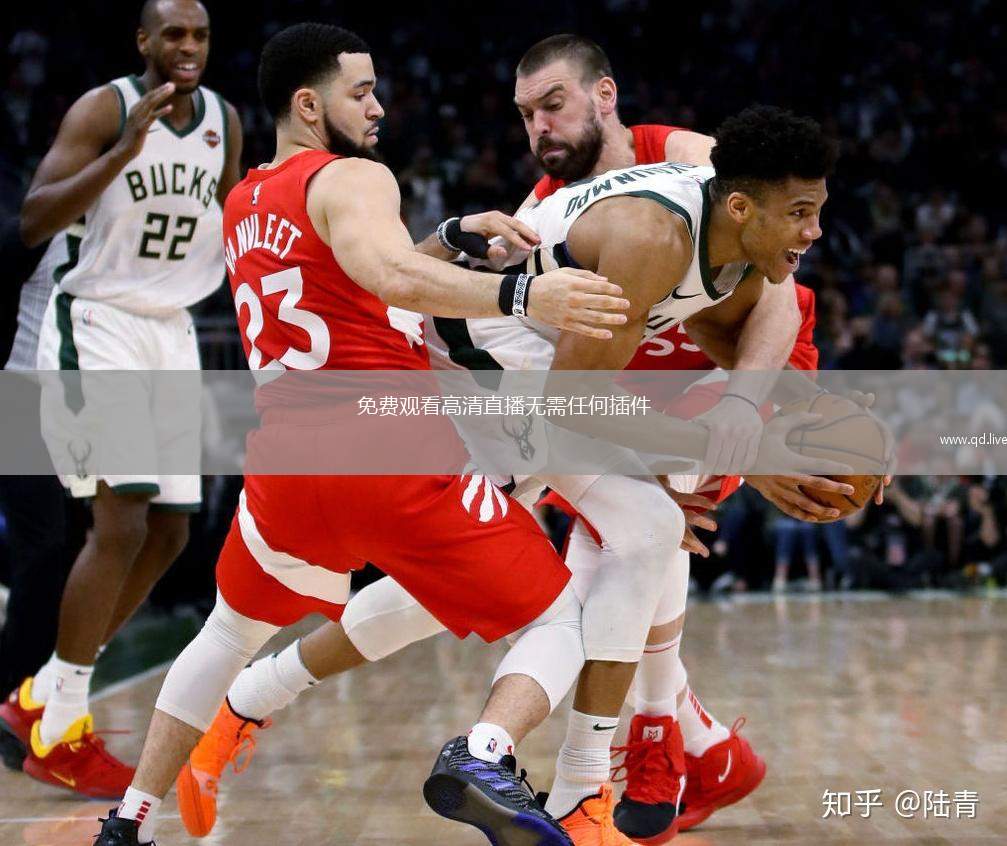 免费观看高清直播无需任何插件